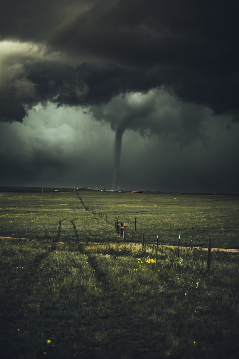 Storm Cleanup